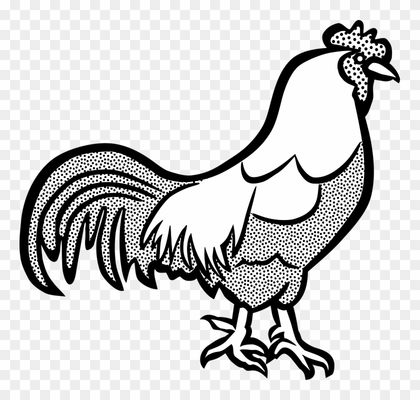 Free Images On Pixabay - Cock Clip Art Black And White #506088