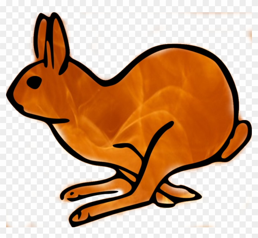 Fire Rabbit - Hare #506244