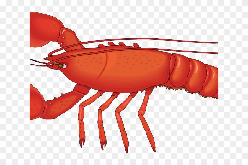 Lobster Clipart Under Sea - Lobster Png #506346