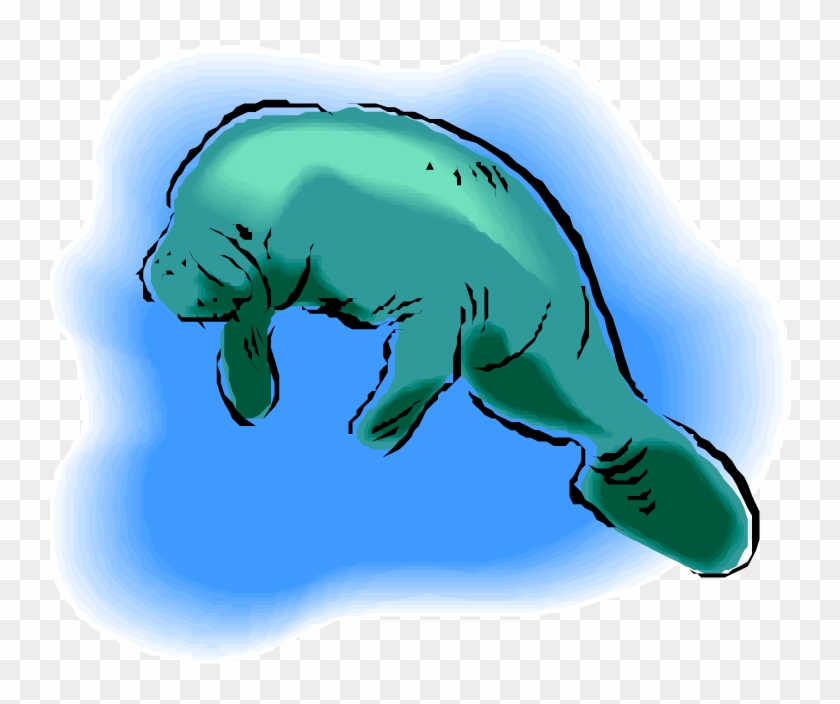 Manatee Clip Art - Manatee Clip Art Free #507294