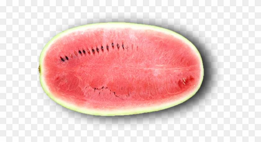 Watermelonhalf - Watermelon #507638