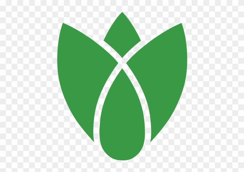 Free Sample Kits - Free Sample Kits #508084