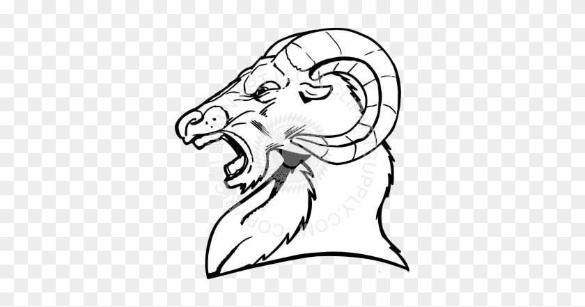 Mean Ram Head - Drawing Of A Ram Head #508157