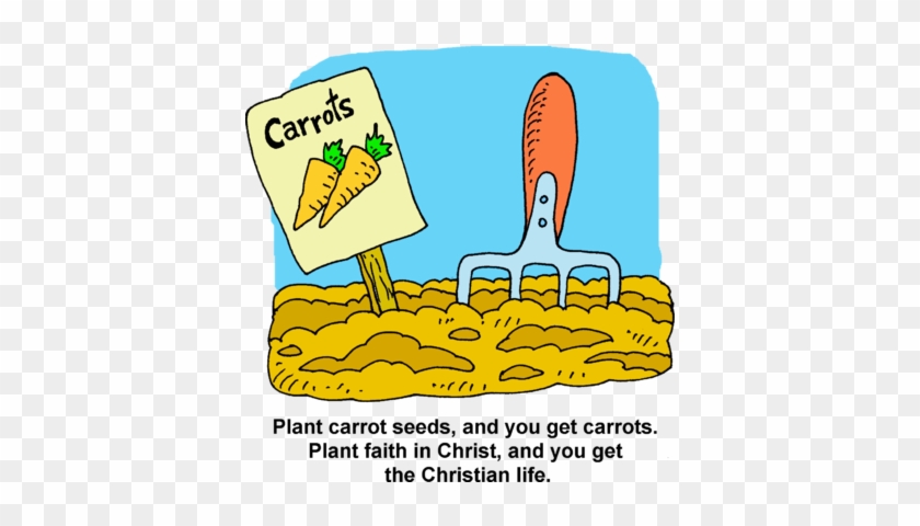 Carrot Garden - Carrot Garden Sign Clipart #508210