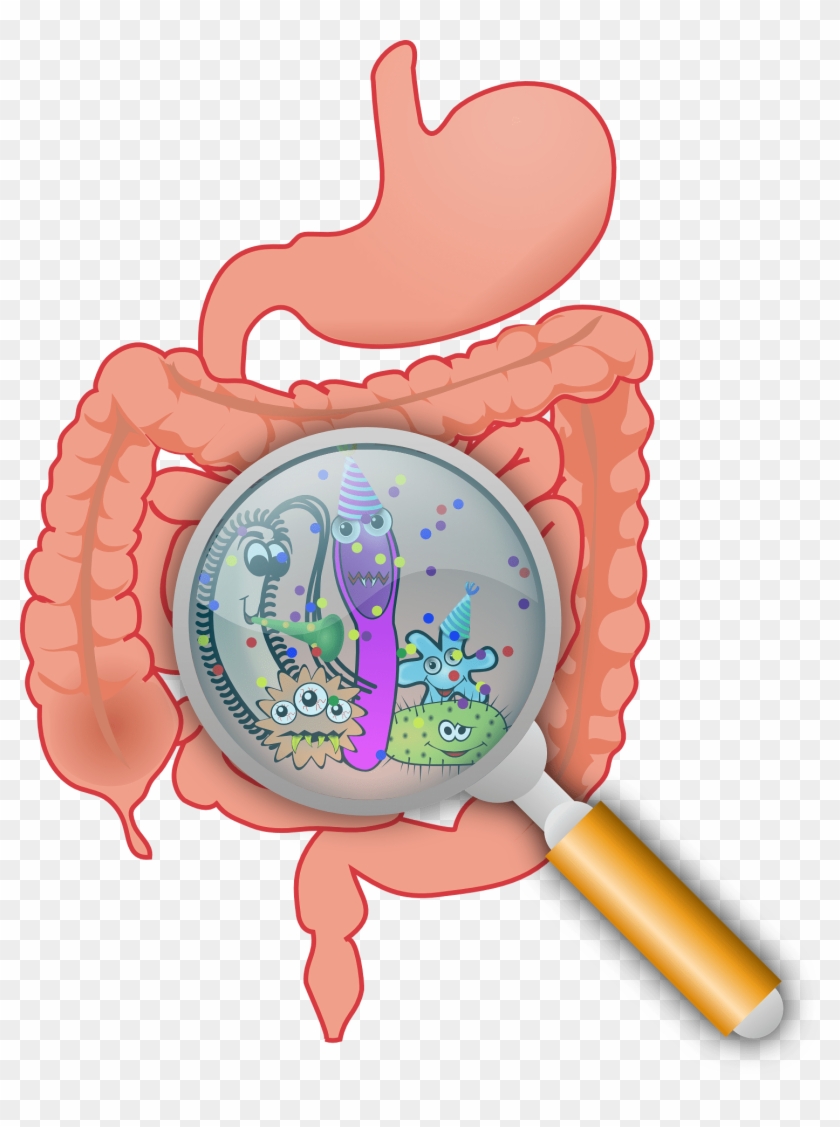 Constipation Is Also A Common Side Effect Of Medications - Gut Microbiome Png #508325