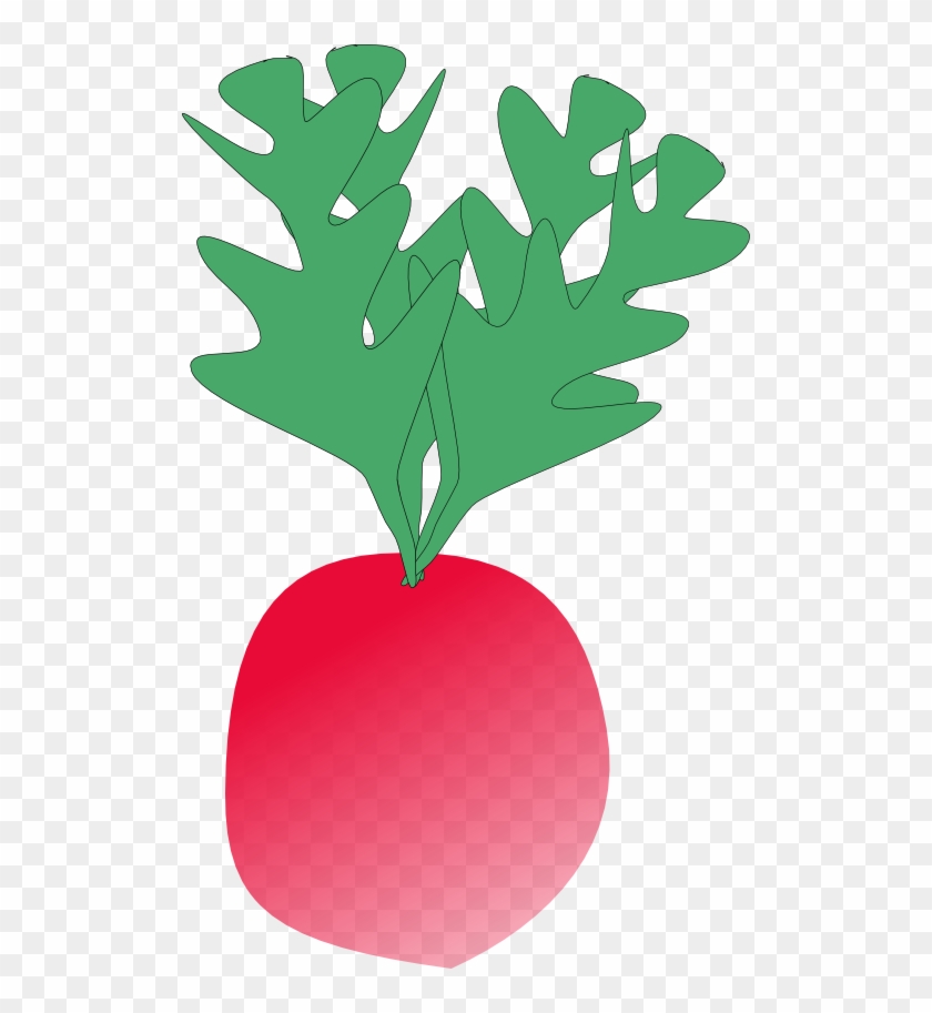 Fresh Radish, Vegetable, Food, Plant, Red, Small, Fresh - Radish Clip Art #508335