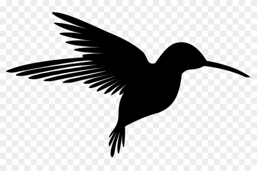 Animal, Bird, Flying, Hummingbird - Silhouette Of A Hummingbird #508547