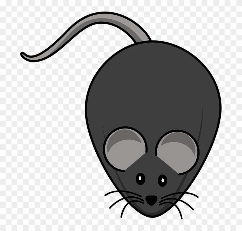 Computer Mouse Cartoon 21, - Fat Mouse Clipart #508595