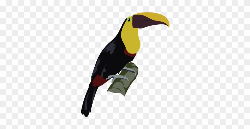 Toucans - Toucan #508801