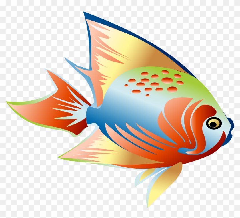 Fish Clip Art - Fish Clip Art #509563