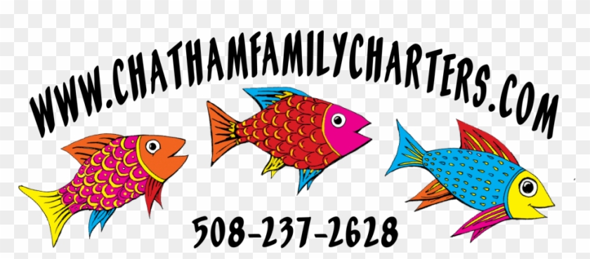 Chatham Family Charters - Coral Reef Fish #509609