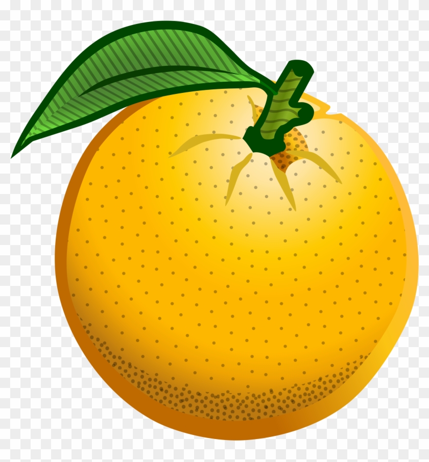 Clip Art Orange With Images Medium Size - Orange Colour Fruit Clipart Png #510282