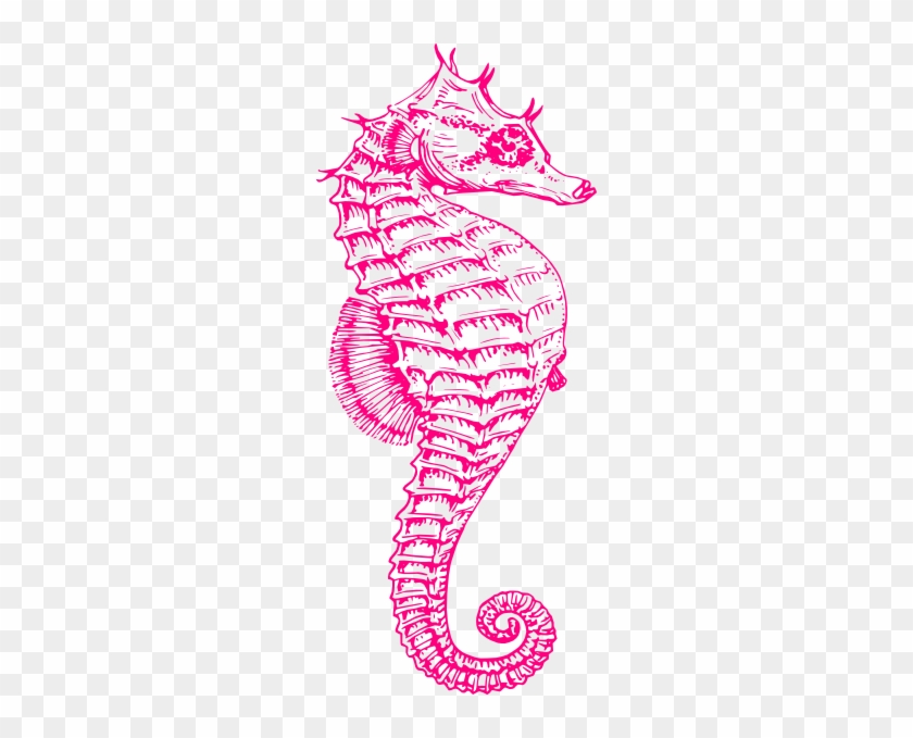 Pink Seahorse Clipart #510296