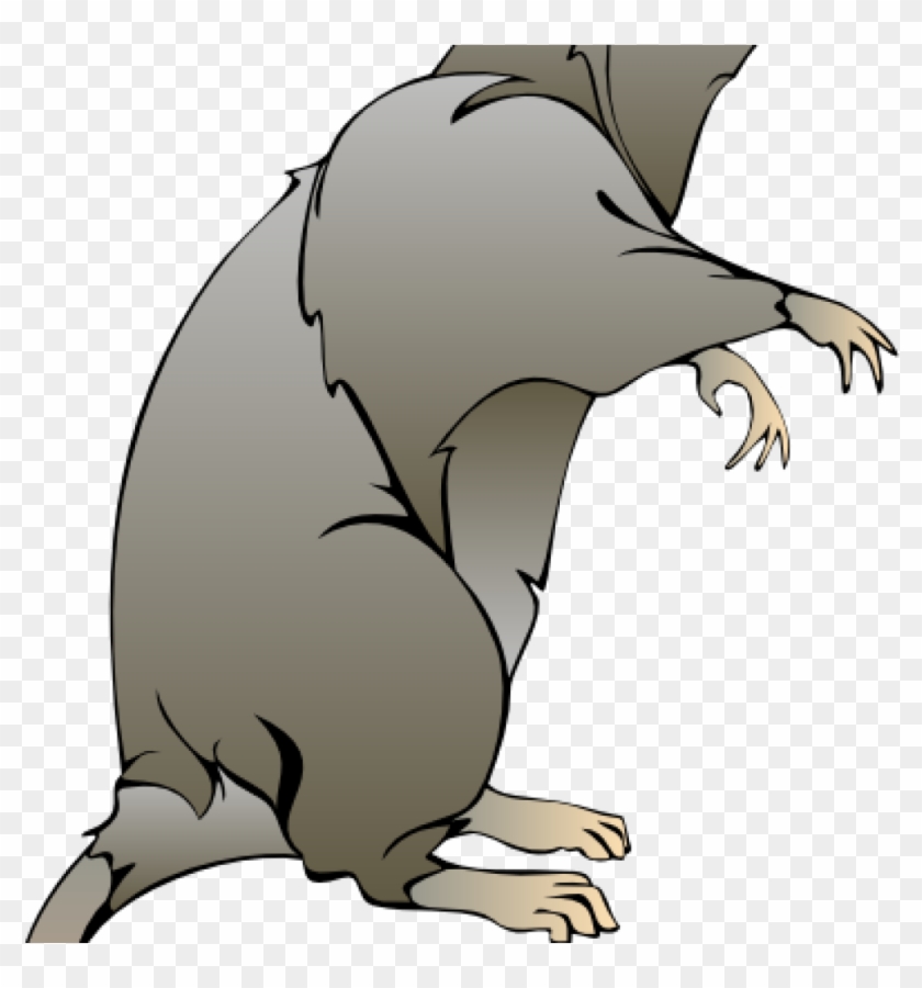 Rat Clipart Rat Clip Art At Clker Vector Clip Art Online - Cartoon Rat #510934