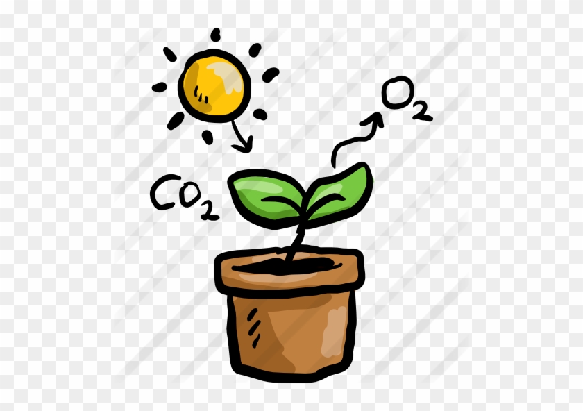 Free No Money Clipart - Photosynthesis Clipart #510963