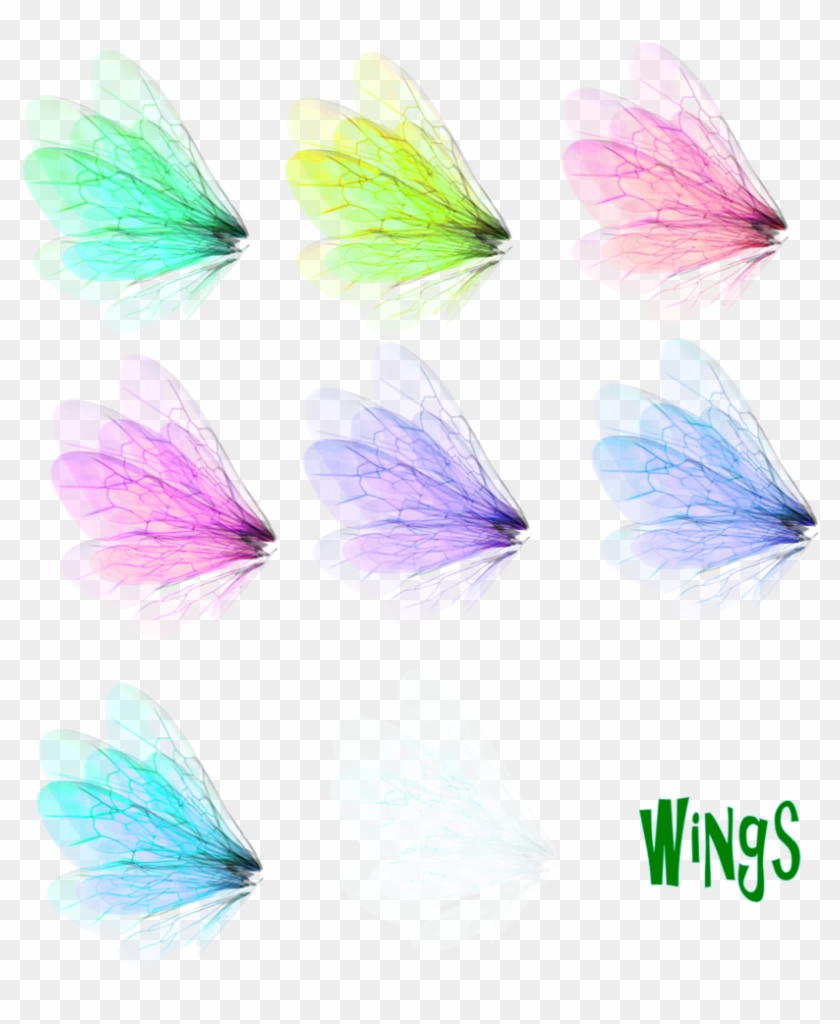 Wing Set 1 Png By Mysticmorning - Wing #511036