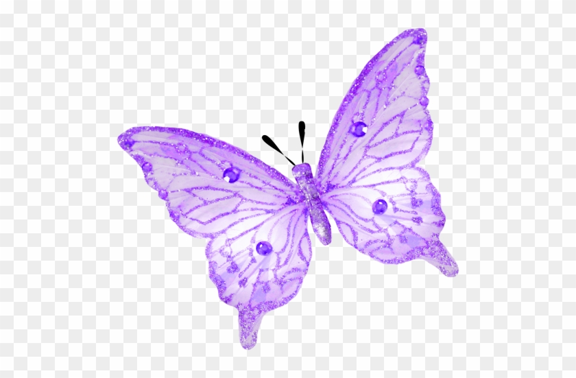 Фото, Автор Andy-video На Яндекс - Lavender Butterfly Clip Art #511049