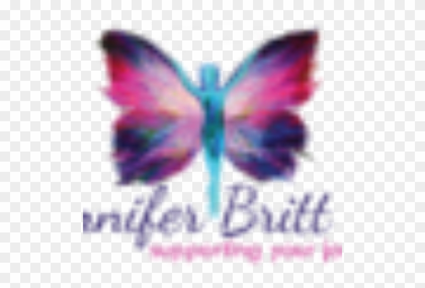 Swallowtail Butterfly #511087