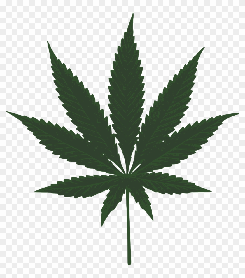Political Risk Increases For Medical Marijuana - Marijuana Leaf Vector Art #511139