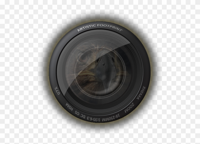 James Dahmer Photography - Logo #511362