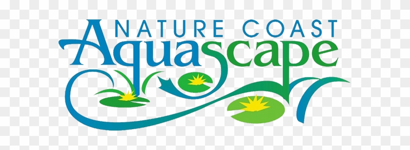 Nature Coast Aquascape - Aquascape #511391