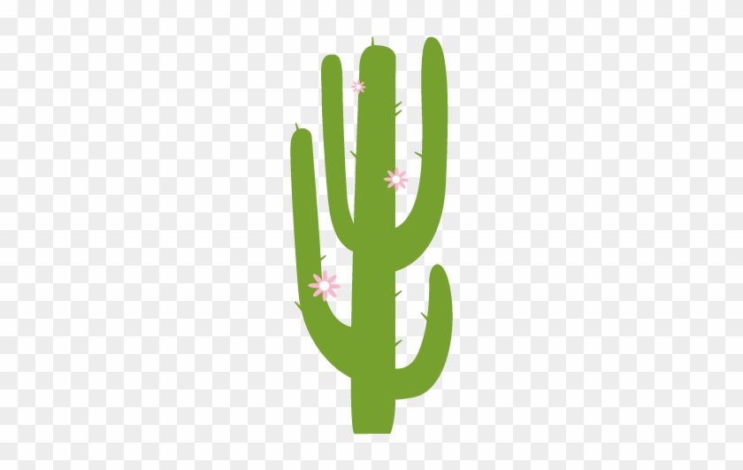 Saguaro Cactus Wall Decal - San Pedro Cactus #511990