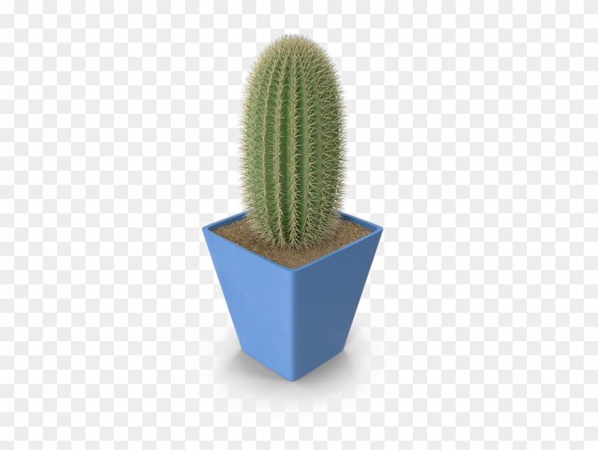 Saguaro Cactus Png Photo - Weberocereus #512030