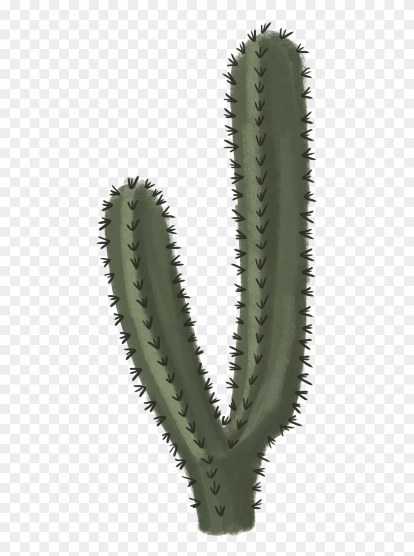 Cactus Png File - Cactus Png #512058