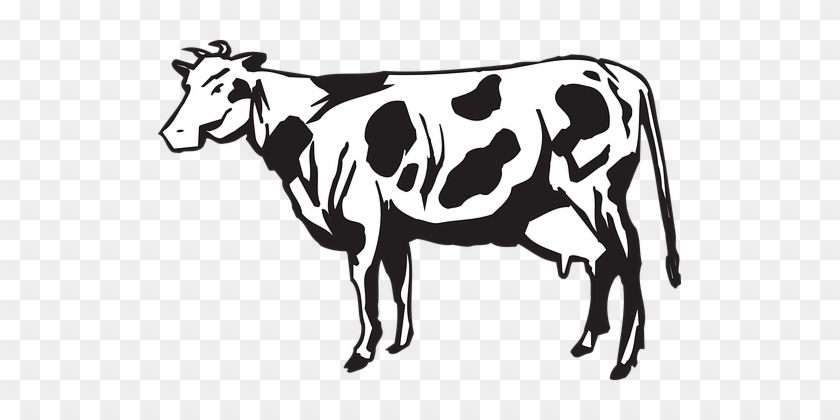 Cow, Livestock, Cattle, Farm, Animal - Goat Herd Clipart Black And White #512401