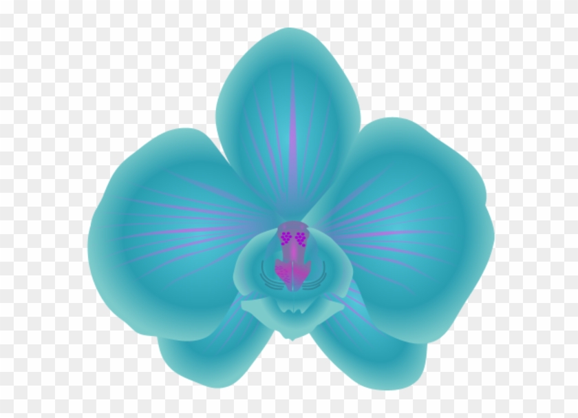 Blue Orchid Clipart - Orchid Clip Art #512979