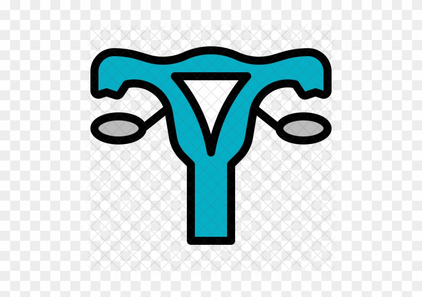 Female Uterus Icon - Ovary #513890