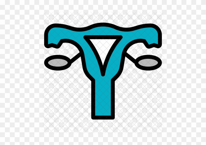 Female Uterus Icon - Ovary #513890