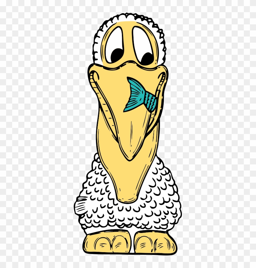 Get Notified Of Exclusive Freebies - Cartoon Pelican Shower Curtain #514093