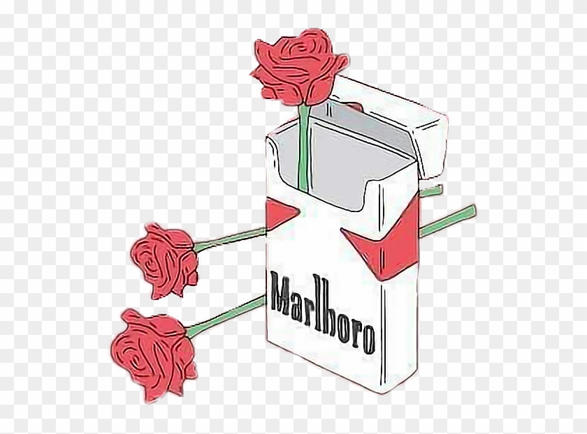 Roses Aesthetic Cigarette Cigarettes Smoking Flowers - Rose And Cigarettes #514114
