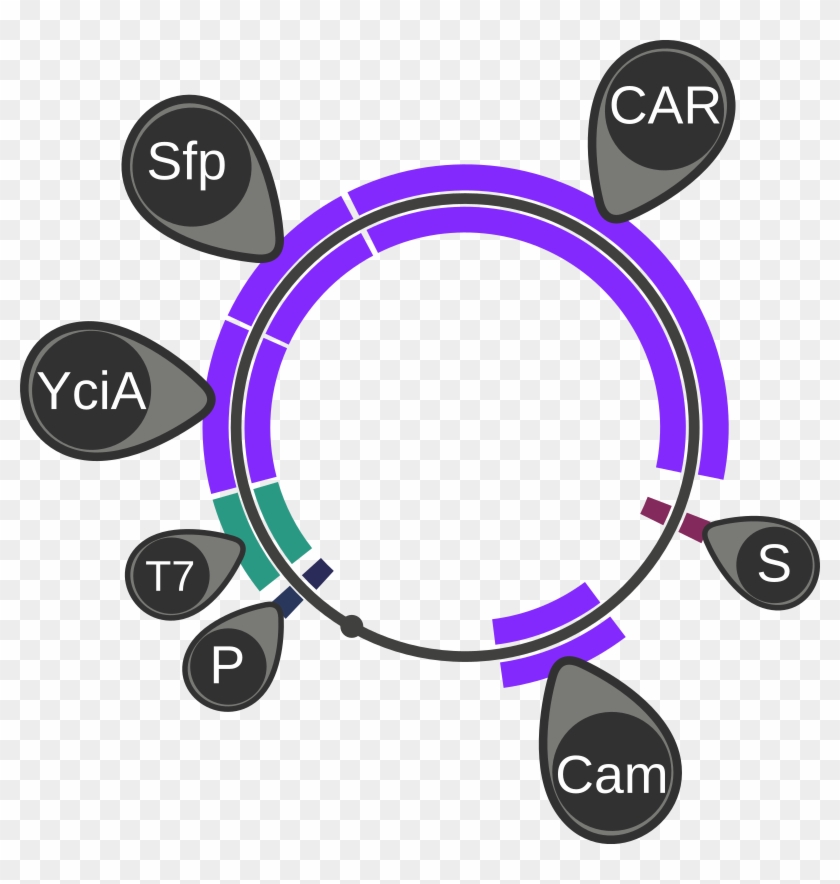 Propane - Circle #514175