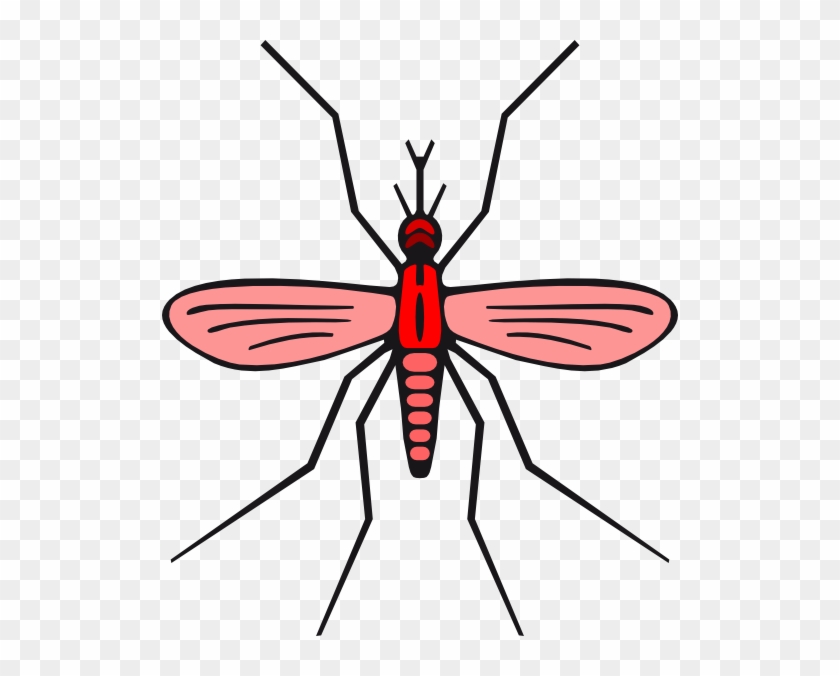 Mosquito Png Red #514226