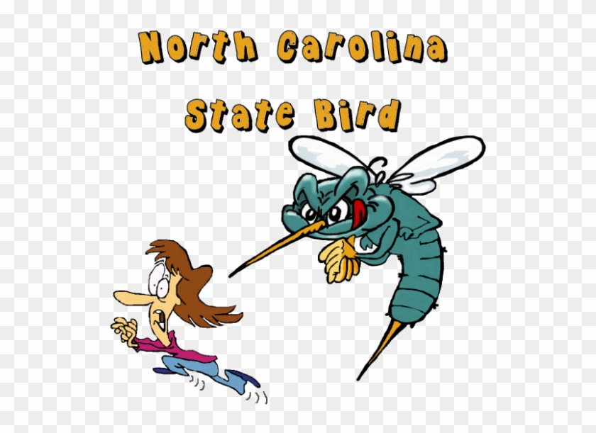 The Mosquitoes Are So Big And Plentiful In North Carolina, - Nc State Bird Mosquito #514230
