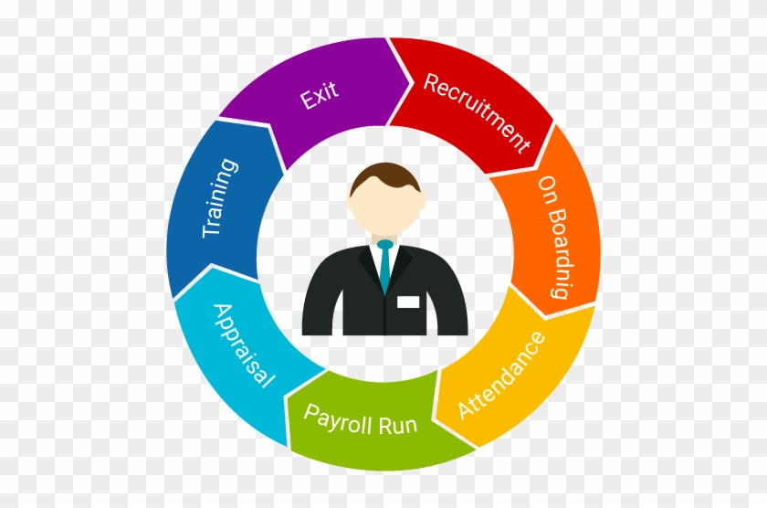 Business Management Human Resource Management,office - Employee Life Cycle In An Organization #514720