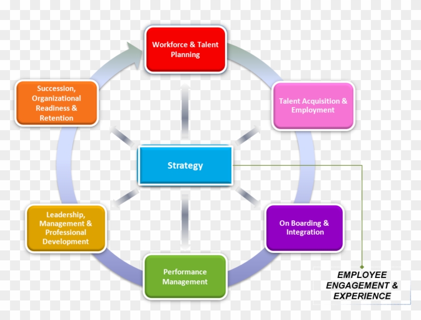 The Talent Management Continuum - Talent Management #514721