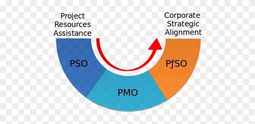 Portfolio Management Offices From “small” Support Oriented - Circle #514728