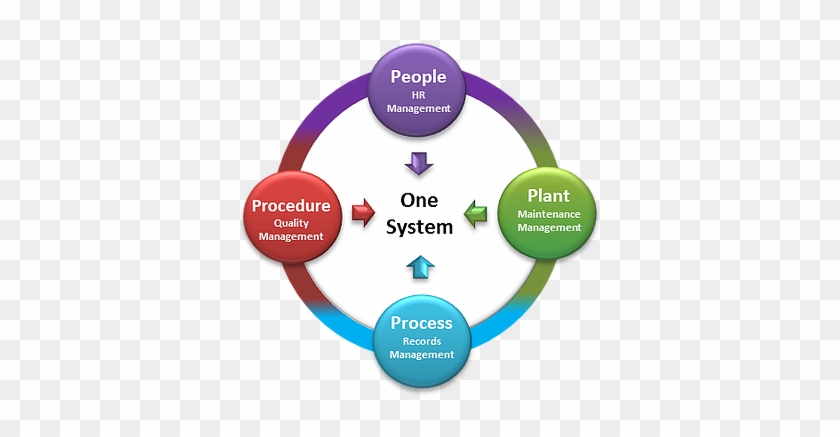 Using 4ps, Your Business Information Is Accessible - People Plant Process #514762