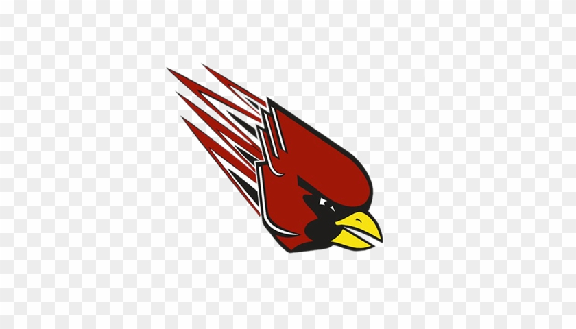 Bloomingdale - Bloomingdale Cardinals #514976