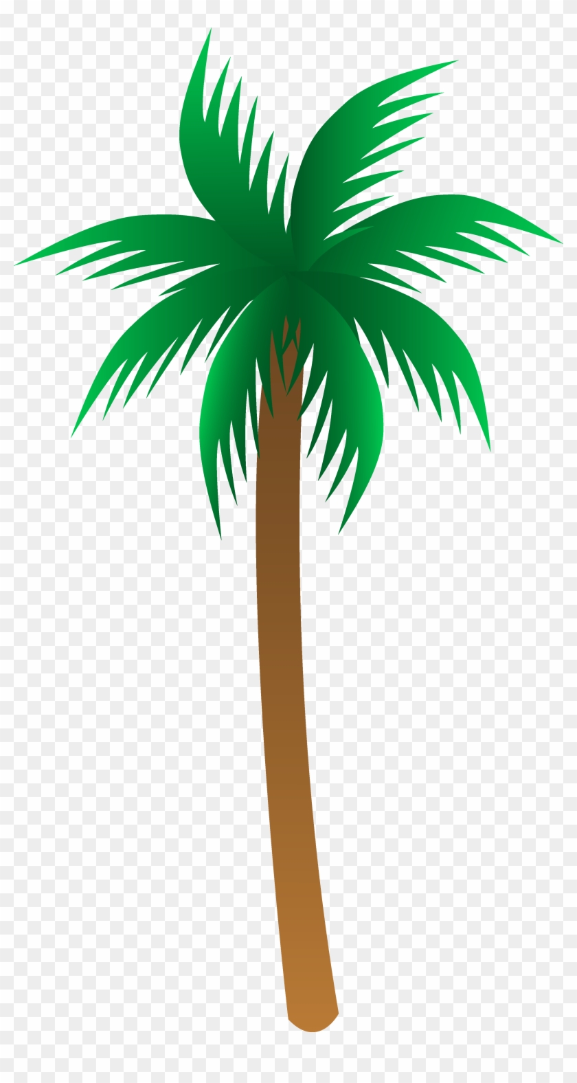 Vector Palm Tree Clip Art Palm Trees Clipart Mylocalguide - Palm Tree Clipart Png #516694