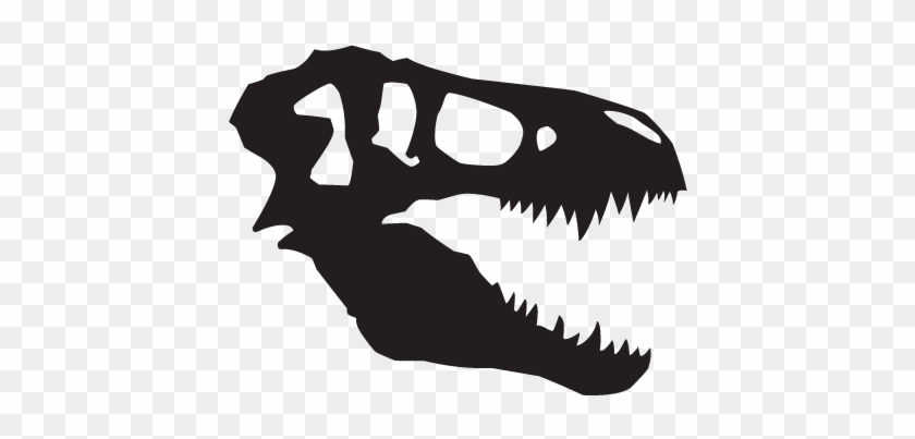 Arts0150 - T Rex Fossil Head #516978