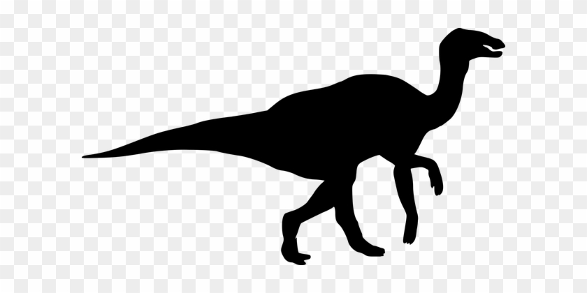 Silhouette, Dinosaur, Tyrannosaurus Rex - Hadrosaurus Dinosaur #517032