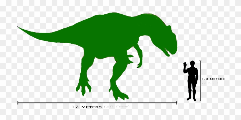 An Allosaurus Skeleton Was Discovered In The Como Bluff - Skeleton Image Of Allosaurus #517061