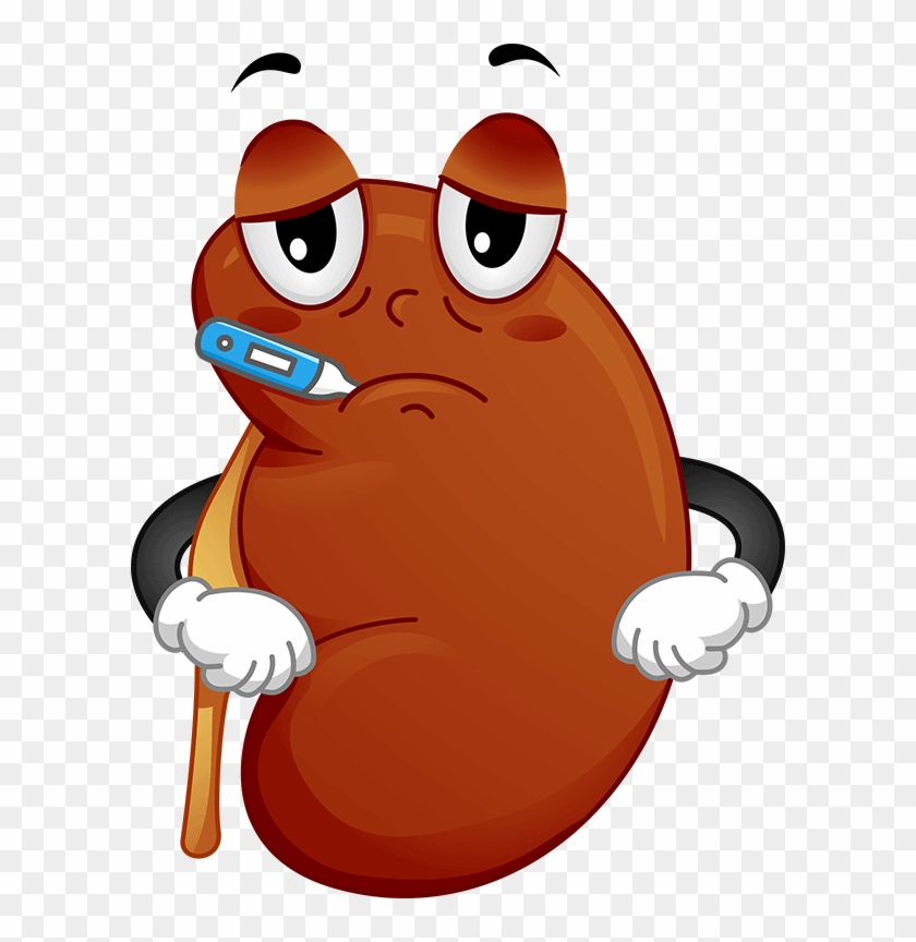 Treatment For Kidney Disease The Correct Understanding - Sick Kidney Cartoon  - Free Transparent PNG Clipart Images Download