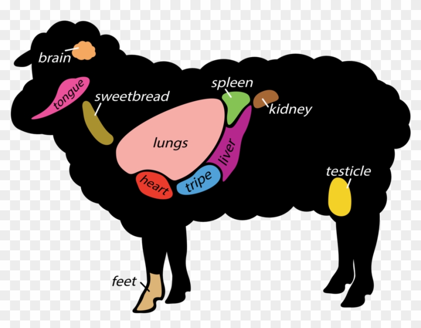 Meat Cuts - - Internal Parts Of A Sheep #517431
