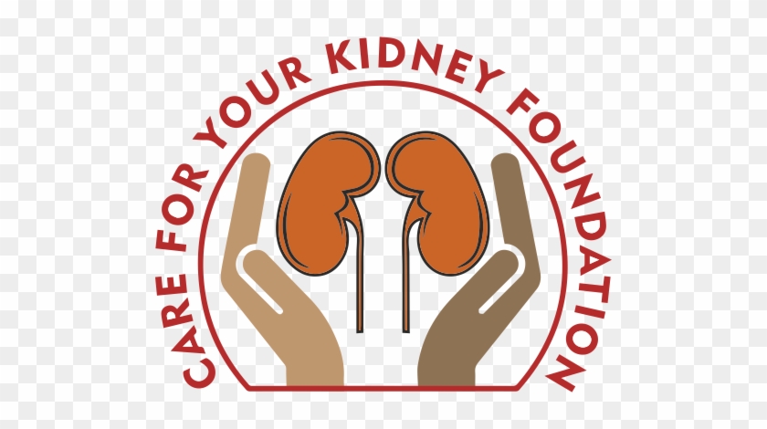 We Are Cfykf, Our Founder Trustees And Program Staff - Kidneys Png Logo #517435