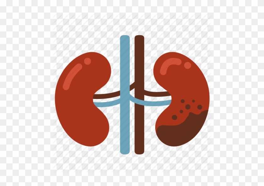 Cancer, - Kidney Disease Clipart #517437